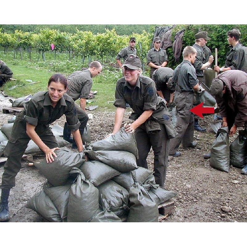 Pantalones Térmicos De Clima Frío Bundeswehr Bundeswehr Pantalones De Ejercito Austriaco Original Bundeswehr Clima Frio Pantalones De Suspension