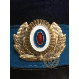 INSIGNIES OFICIALS POLICIA RUSA NOVES