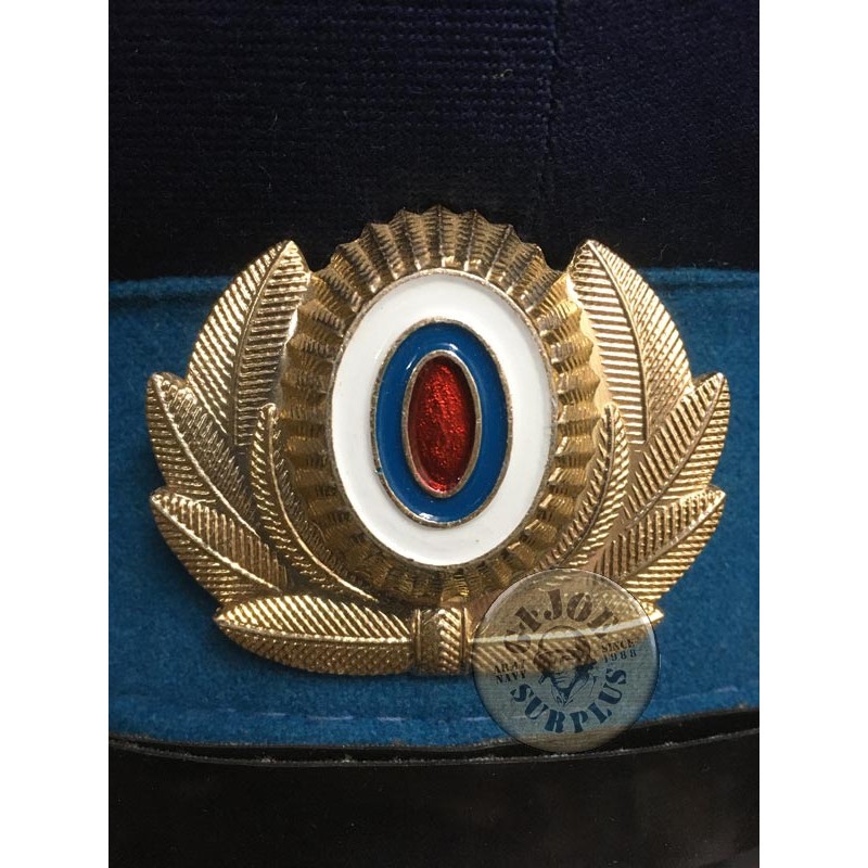 INSIGNIES OFICIALS POLICIA RUSA NOVES