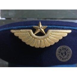 INSIGNIES GORRA UNIO SOVIETICA AVIACIO NOVES