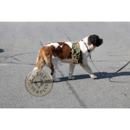 SELLING AT STORE!!! YUGO AND SERBIAN ARMY DOGBAGS USED