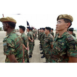 SINGAPOREAN ARMY TROOPERS M83 CAMO EPAULETTES