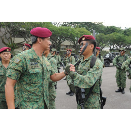 JAQUETES COMBAT EXERCIT SINGAPUR CAMUFLATGE PIXELAT