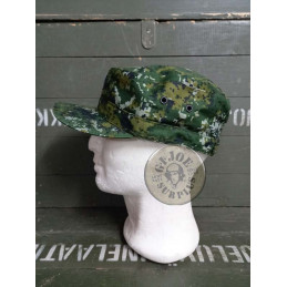 TAIWAN!!! GORRES COMBAT EXERCIT TAIWAN CAMO DIGITAL  NOVES