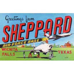 SUDADERA ALGODON "SHEPPARD AIRFORCE BASE"