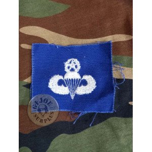 PEGAT "INSIGNIA MASTER PARA" USAF VIETNAM NOUS