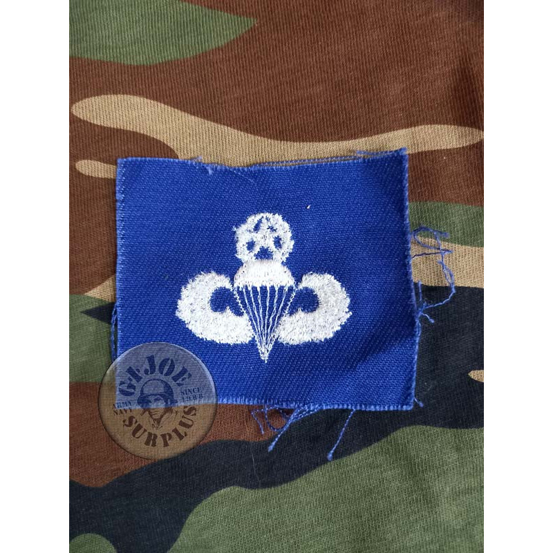 PEGAT "INSIGNIA MASTER PARA" USAF VIETNAM NOUS