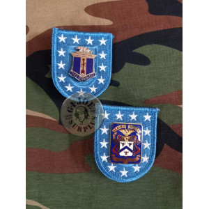 INSIGNIA+PARCHE BOINA US "SPECIAL FORCES" VIETNAM INSIGNIA+PARCHE BOINA US ARMY "REGIMENTS"