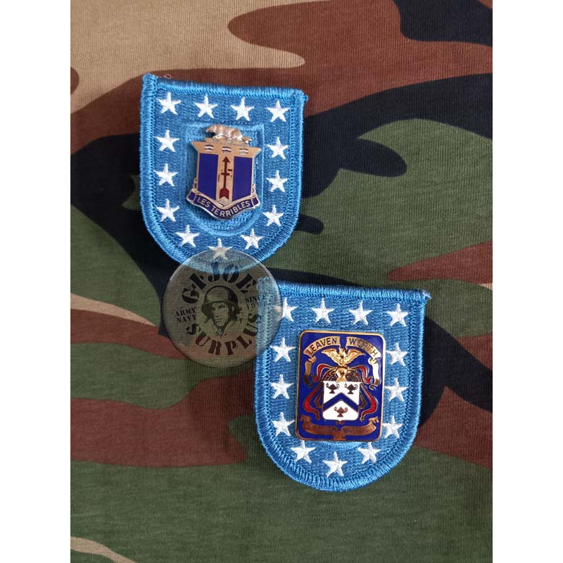 INSIGNIA+PARCHE BOINA US "SPECIAL FORCES" VIETNAM