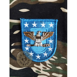 INSIGNIA+PARCHE BOINA US ARMY "CAPITAN" INSIGNIA+PARCHE BOINA US ARMY "CORONEL"