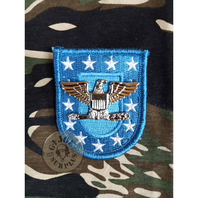 INSIGNIA+PARCHE BOINA US "SPECIAL FORCES" VIETNAM