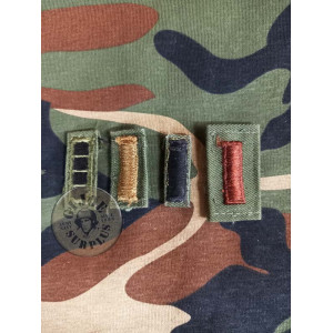 PARCHES "INSIGNIA PARACAIDISTA" US ARMY VERDE OLIVA GALONES CUELLLO "STAFF SERGEANT" US ARMY VERDE OLIVA SOLO TIENDA!!! GALONES 