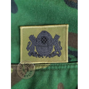 GORRA PLATO OFICIAL INFANTERIA MARINA TAIWAN /PIEZA UNICA