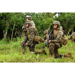 JAQUETES MCU WOODLAND