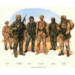 PARKA US ARMY NIGHT DESERT CAMO NUEVAS-COMO NUEVAS