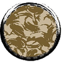 VESTUARI DPM DESERT